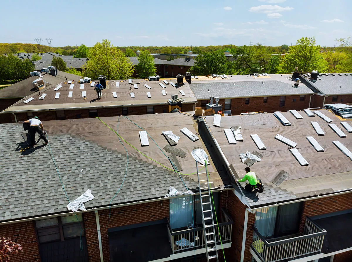 Perfecting Peak Protection: Top Roofing Solutions Knowledge You Need