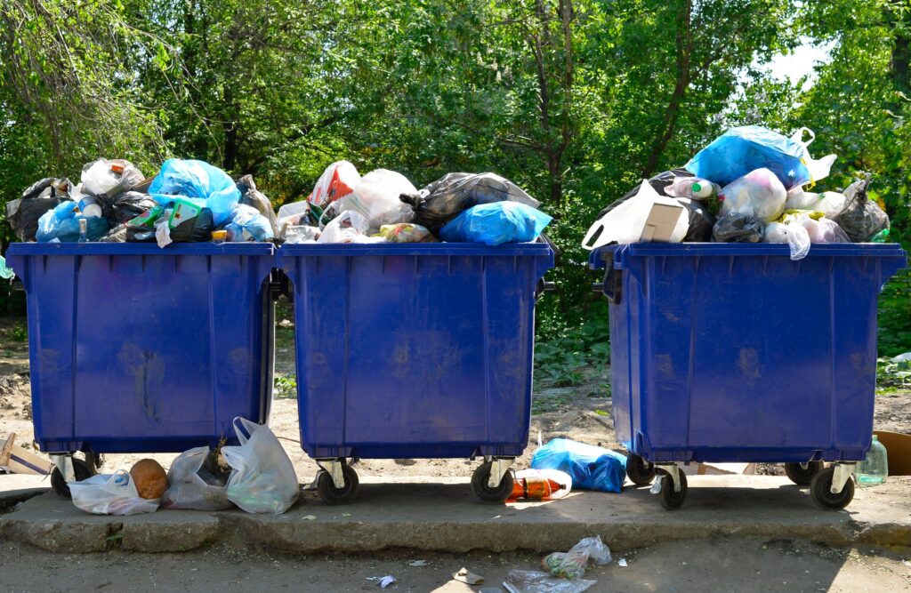 Efficient Dumpster Rental Services for Streamlined Waste Disposal, and Project Clean-up